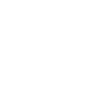 ReignofKings13's emblem