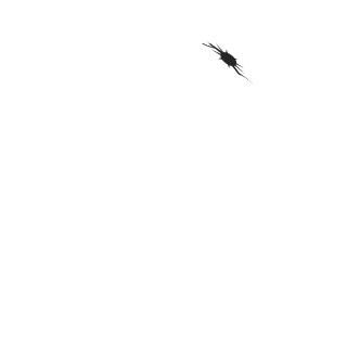 Lanyerd's emblem