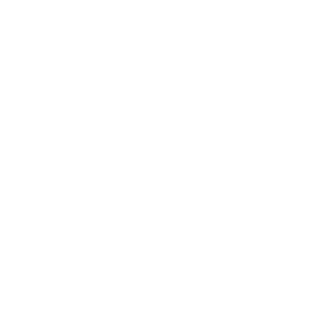 1exSi's emblem