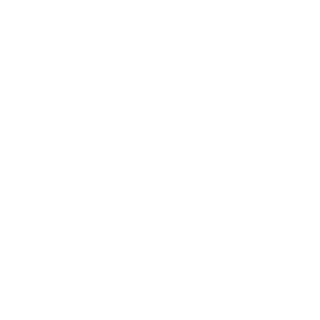 sane4ekgs's emblem