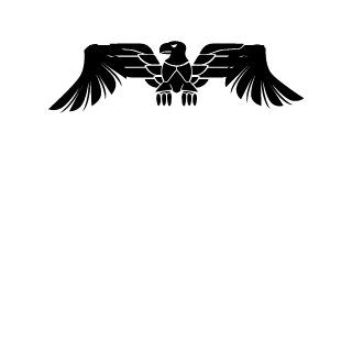 DrFRO5T's emblem