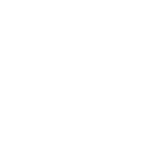 NoahBLA1's emblem
