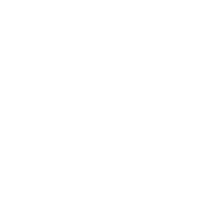 BOOS---SB's emblem