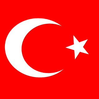 Turkish Soldier's emblem
