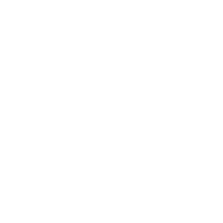 zdoxinside's emblem