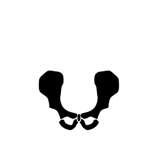 TabbiPudding's emblem