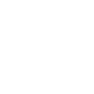 pseudonnym's emblem