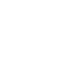 MasterFl2's emblem