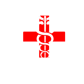 oski2005pl's emblem