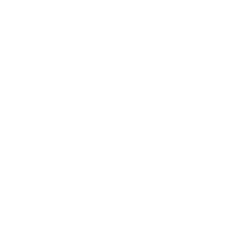 4fly2moon's emblem