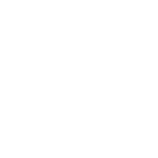 Sonicxchubs42's emblem