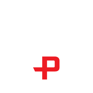 Piecia9m's emblem