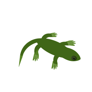 S4la's emblem