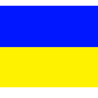 DENISAVIC's emblem