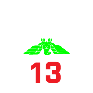 SkinnyGGG's emblem