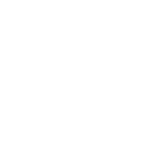 lluna_driver's emblem