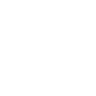 tintint010's emblem