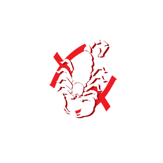 JoaoXML's emblem