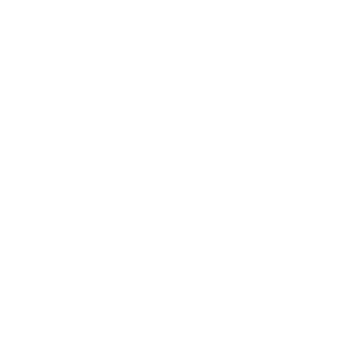 Zwolin00's emblem