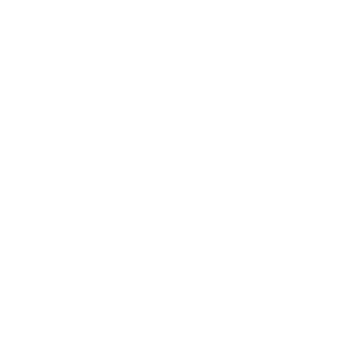 NikFFix's emblem