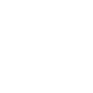 BETA-BIRDPILOT's emblem
