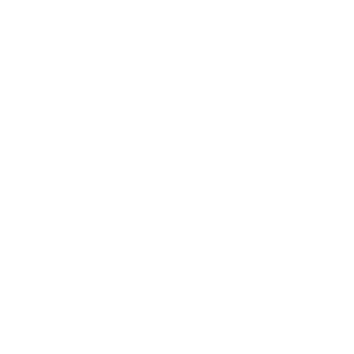 mrcodedix's emblem
