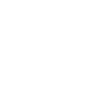 Noir_Angelus's emblem