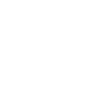 sprites96's emblem