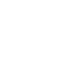 slayerdudeto's emblem
