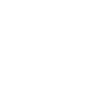 BrunexDelta's emblem