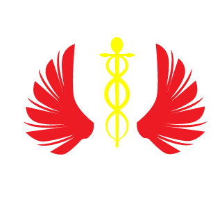 ShanR93's emblem