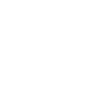47Indy's emblem