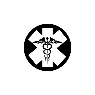 LzV1n1S's emblem