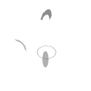 CommodusZero's emblem