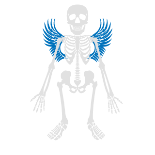 KiperFPS's emblem