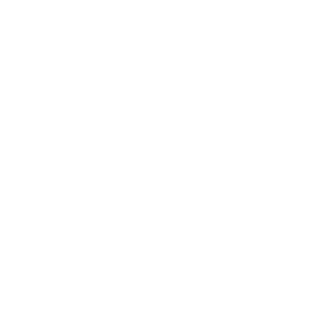Shomy10's emblem