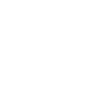 113-RU's emblem