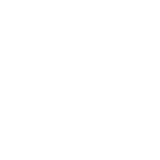 SAEMST287's emblem
