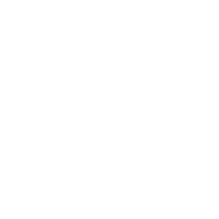 T0RIIT0's emblem