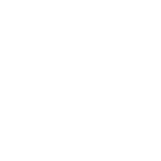 FoxhoundEleven's emblem