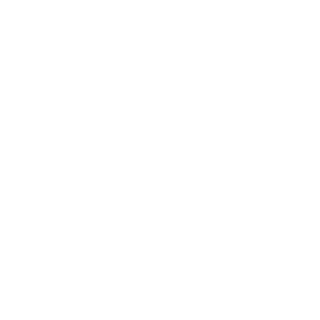 mt2000x's emblem