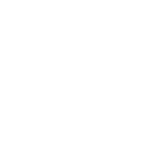 SlamDank4304's emblem