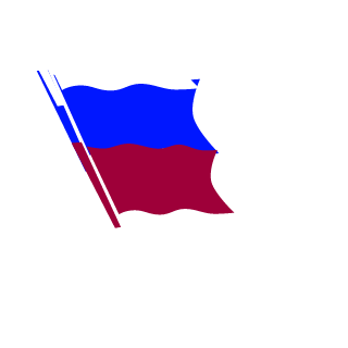 PIoxiLLI_RUS's emblem