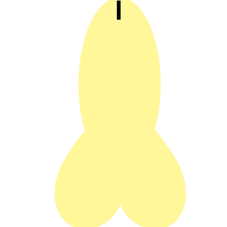 tirtlusnovak's emblem