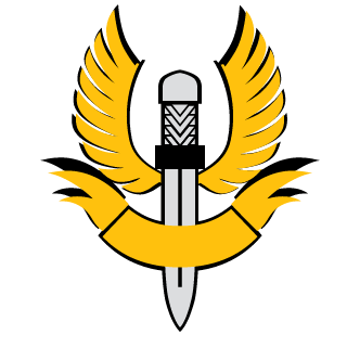 LeoshevBR's emblem