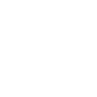 -Vityaz-_STALKER's emblem