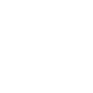 Zarin4231's emblem