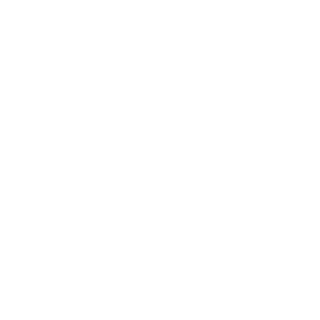 NineLiveDimes's emblem