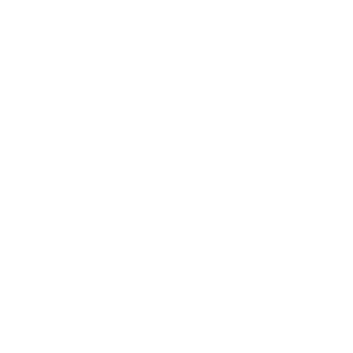 STpistoleirro's emblem