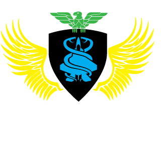 S0m3th1ngW31rd's emblem